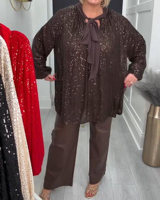 Enfärgad Lösittande Blus Med Lyktärmar