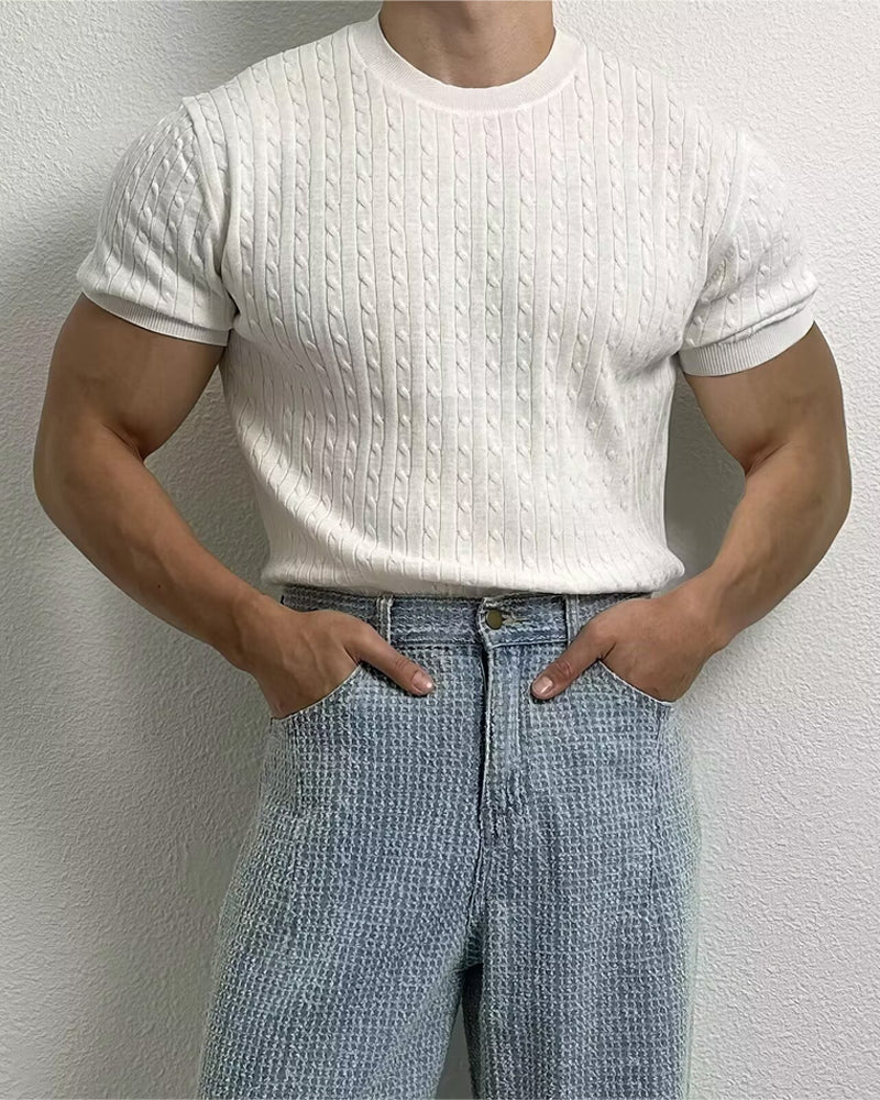 Herr Enfärgad Flätstickning Runde Halsringning Topp, Slim Casual Vår Sommar Stickat