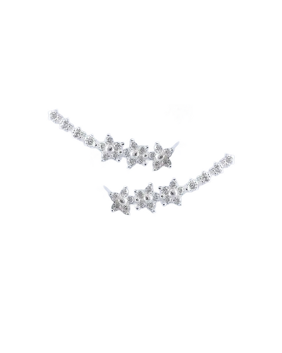 Söta och eleganta stjärnörhängen