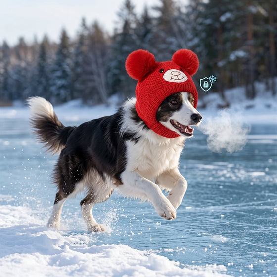 Halsduk Och Mössa Set Stor Hund Stickad Öron